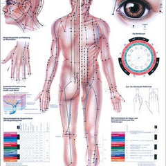 Lehrtafeln 70 x 100 cm
