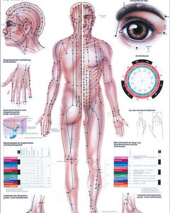 Lehrtafeln 70 x 100 cm