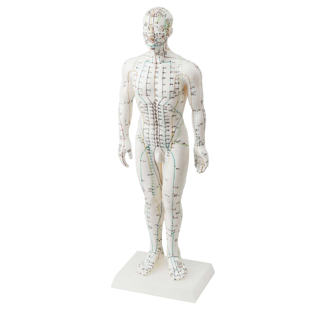 Male doll, white hard plastic, with chin. and english inscription, 50 cm (E.100.0024)