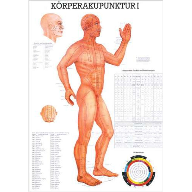 Poster (Anatomical Chart) Body acupuncture I