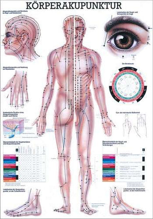 Tavola didattica per agopuntura corporea, 70 x 100 cm (E.600.0015)