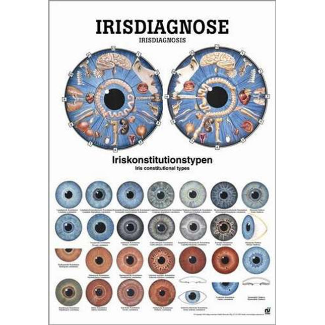Iris diagnosis poster, 50 x 70 cm (E.600.0080)
