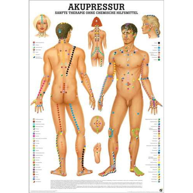 Lehrtafel Akupressur, 70 x 100cm, laminiert (abwischfest)