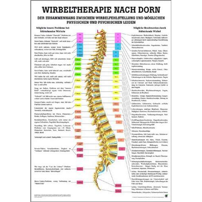 Spinal therapy according to Dorn, 70 x 100 cm (E.700.0001)