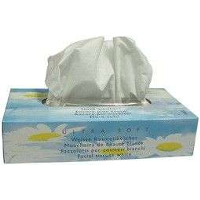 Cosmetic tissues, top quality, 2-ply, 1 box of 100 tissues (P.100.0026)