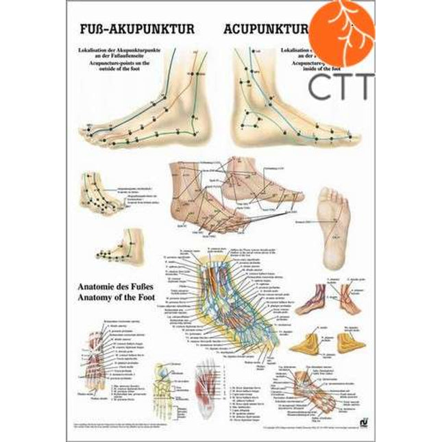 Poster Body acupuncture